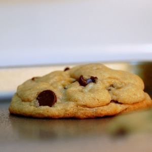 Chocolate Chip Cookie Close Up