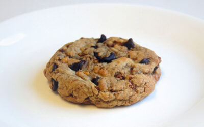 Serious Chocolate Chip Cookies with Walnuts